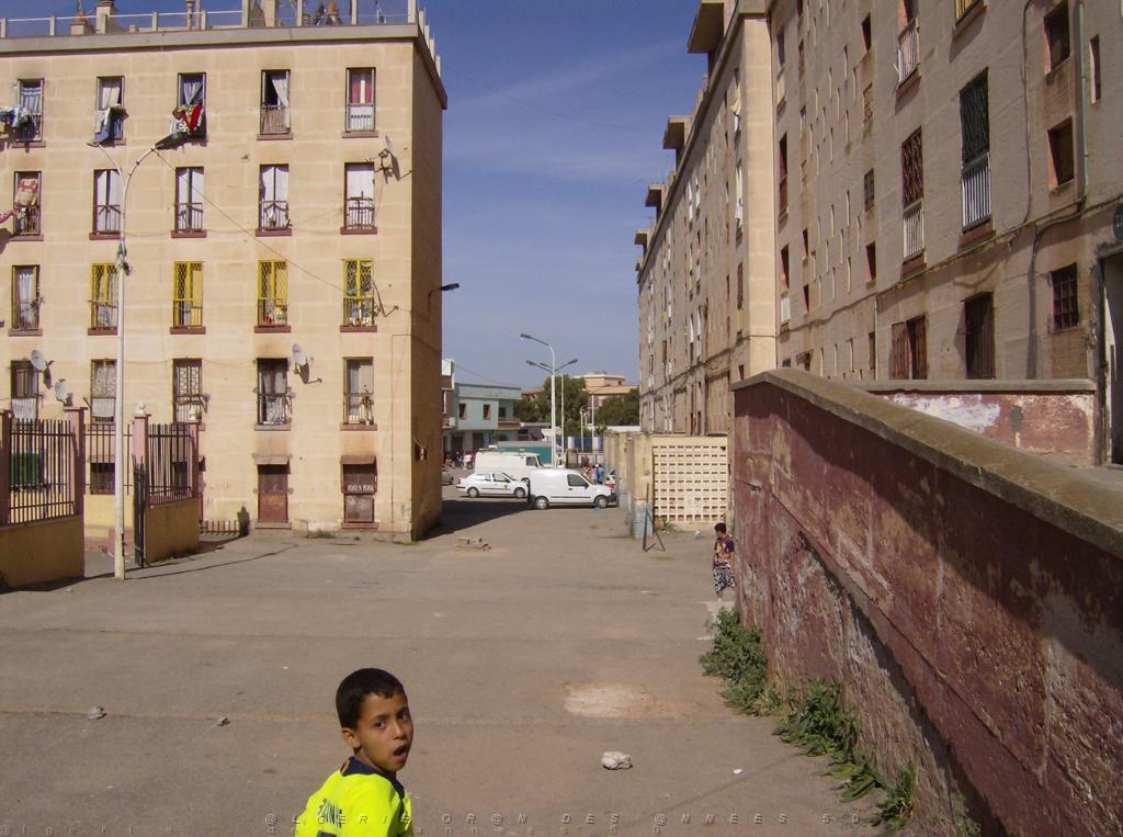 LA CITE DES MIMOSAS 03.JPG